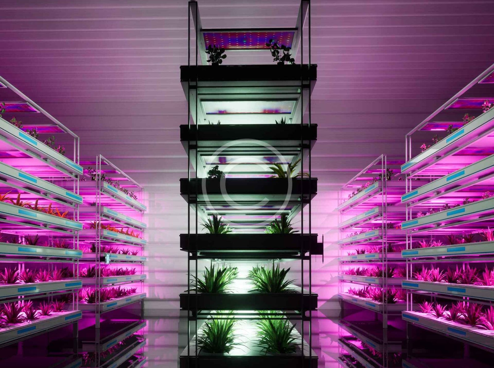 Hydroponic system